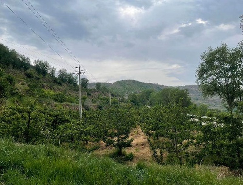 1785386542332865.png